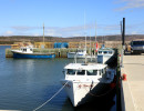 cape jack wharf