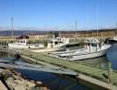 cape jack wharf