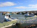 cape jack wharf