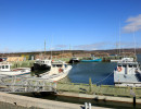 cape jack wharf
