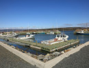 cape jack wharf