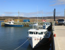 cape jack wharf